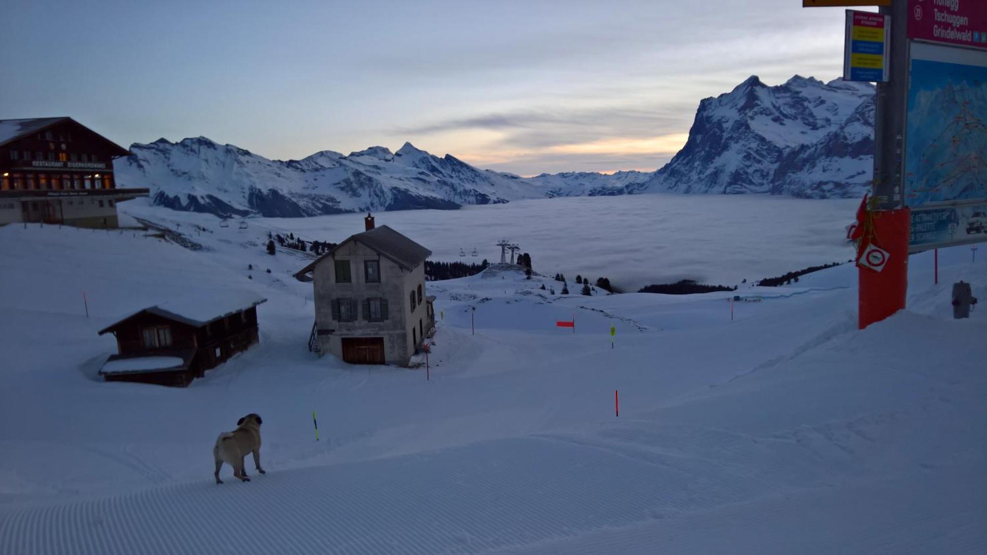 Lodge Bergrestaurant Kleine Scheidegg Bagian luar foto