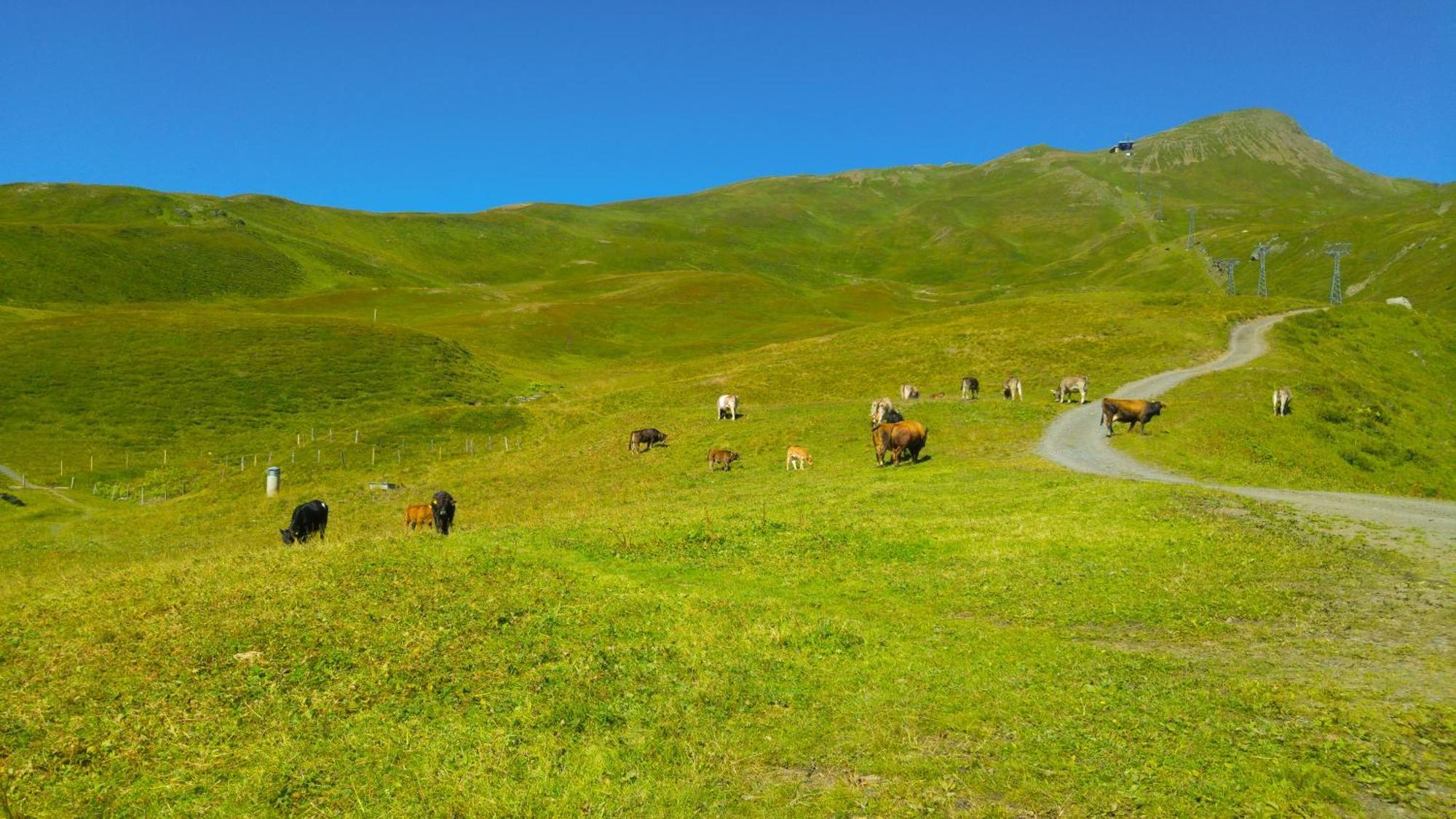 Lodge Bergrestaurant Kleine Scheidegg Bagian luar foto