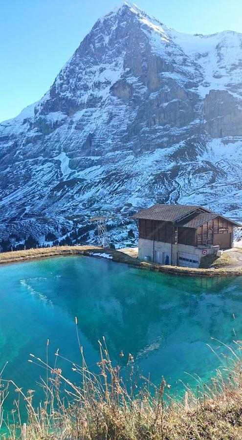 Lodge Bergrestaurant Kleine Scheidegg Bagian luar foto